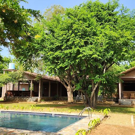 Hide Yala Bed & Breakfast Tissamaharama Dış mekan fotoğraf