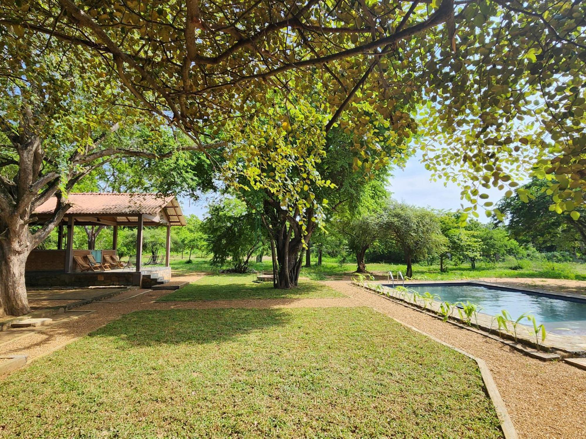 Hide Yala Bed & Breakfast Tissamaharama Dış mekan fotoğraf