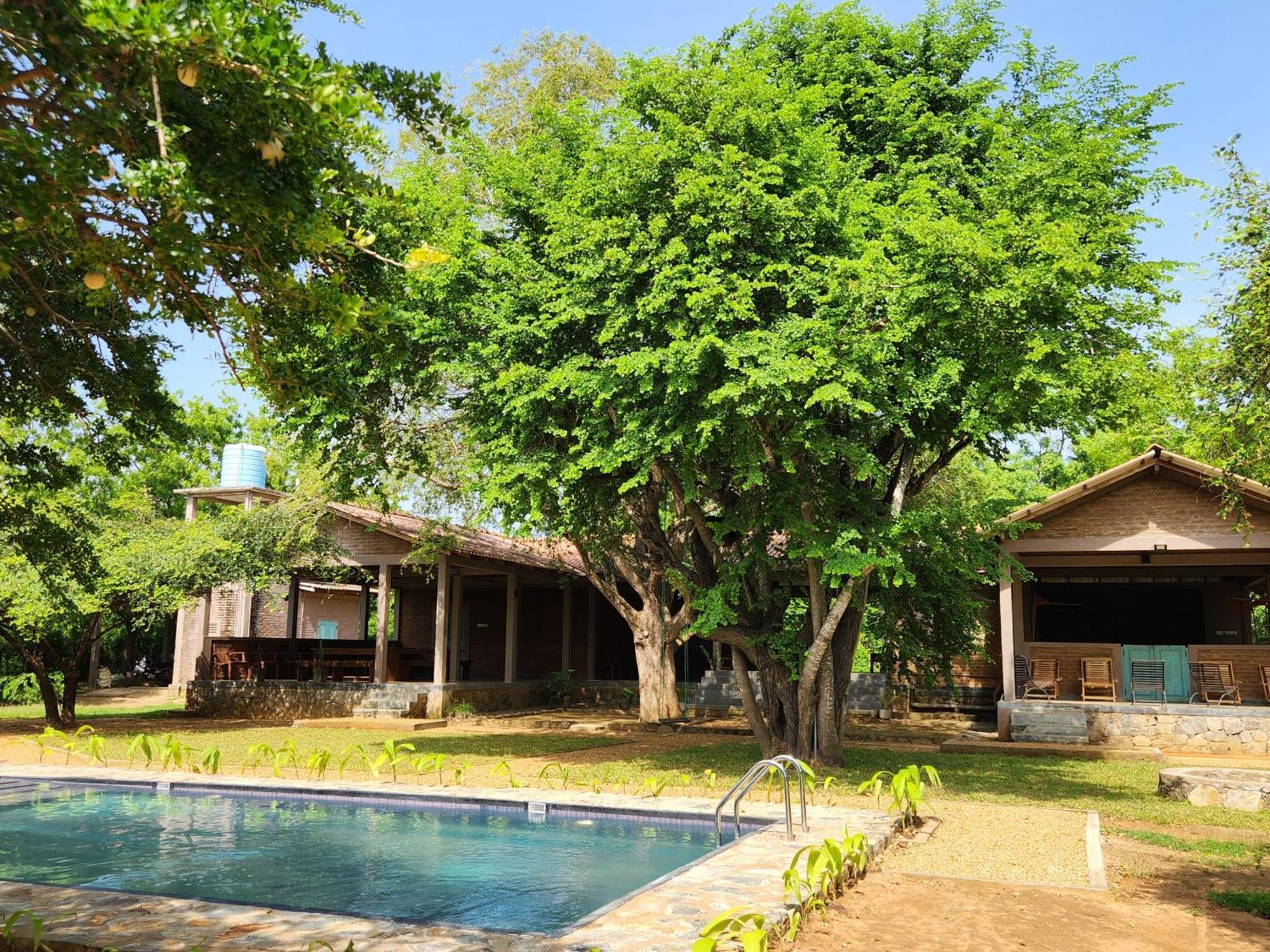 Hide Yala Bed & Breakfast Tissamaharama Dış mekan fotoğraf