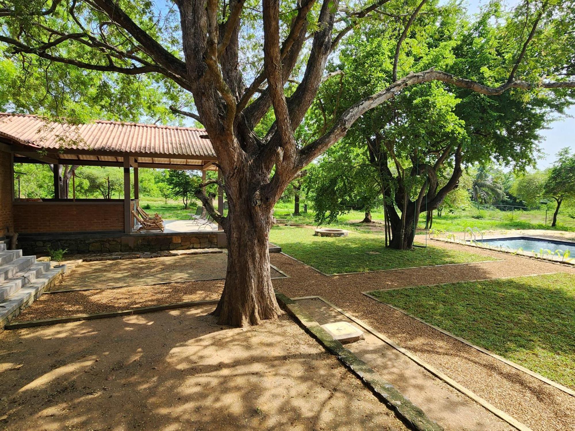 Hide Yala Bed & Breakfast Tissamaharama Dış mekan fotoğraf