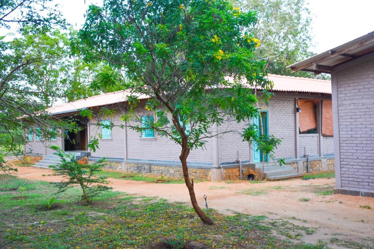 Hide Yala Bed & Breakfast Tissamaharama Dış mekan fotoğraf